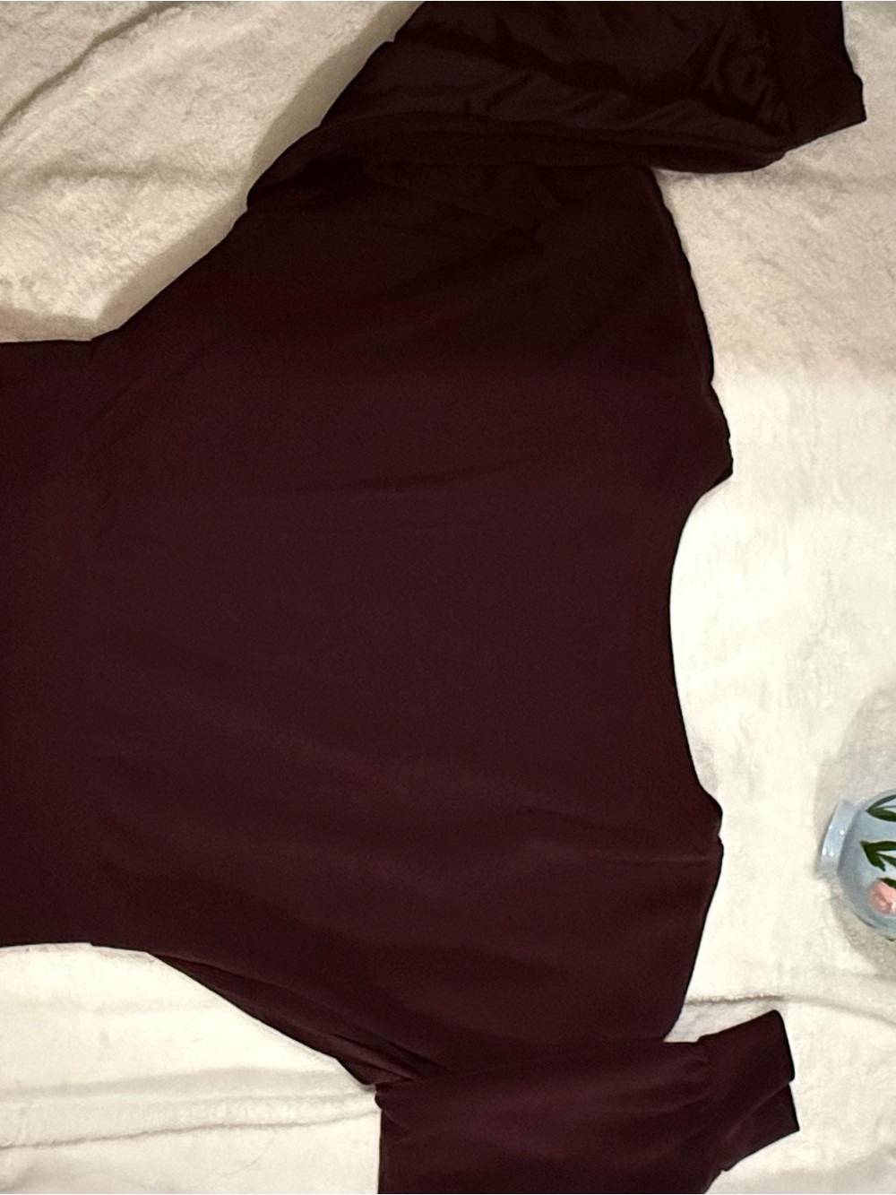 Express Wine Colored Long Sleeve Top